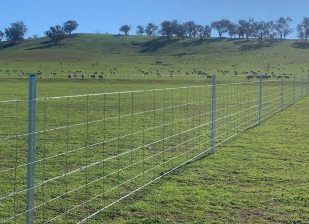 Rural Fencing